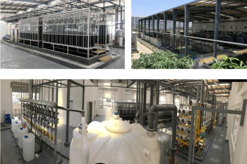 全國煤炭與煤化工環(huán)境治理及保護大會暨生物化工產(chǎn)品技術(shù)研發(fā)研討會預通知