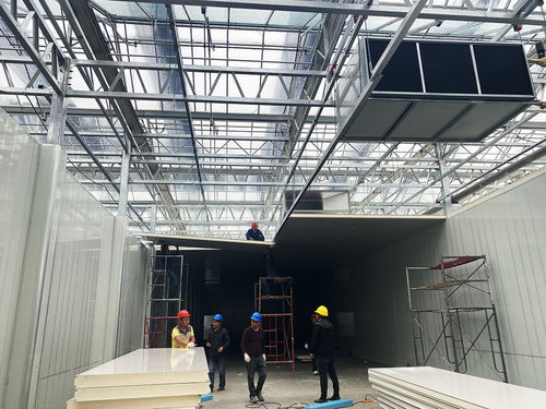 科技賦能農(nóng)業(yè)新愿景 生物化工技術(shù)引領(lǐng)的草莓植物工廠，開啟全年“草莓自由”時(shí)代